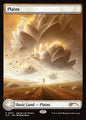 Plains (31) - FULL ART - NM