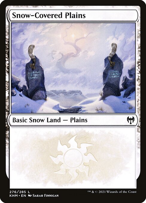 Snow-Covered Plains (276) - NM