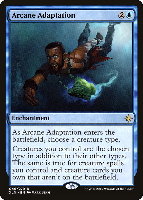 Arcane Adaptation (46) - NM