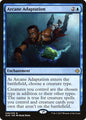 Arcane Adaptation (46) (Foil) - NM