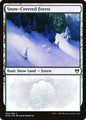 Snow-Covered Forest (284) - NM