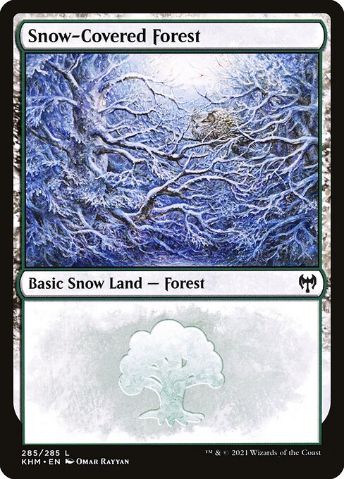 Snow-Covered Forest (285) - NM